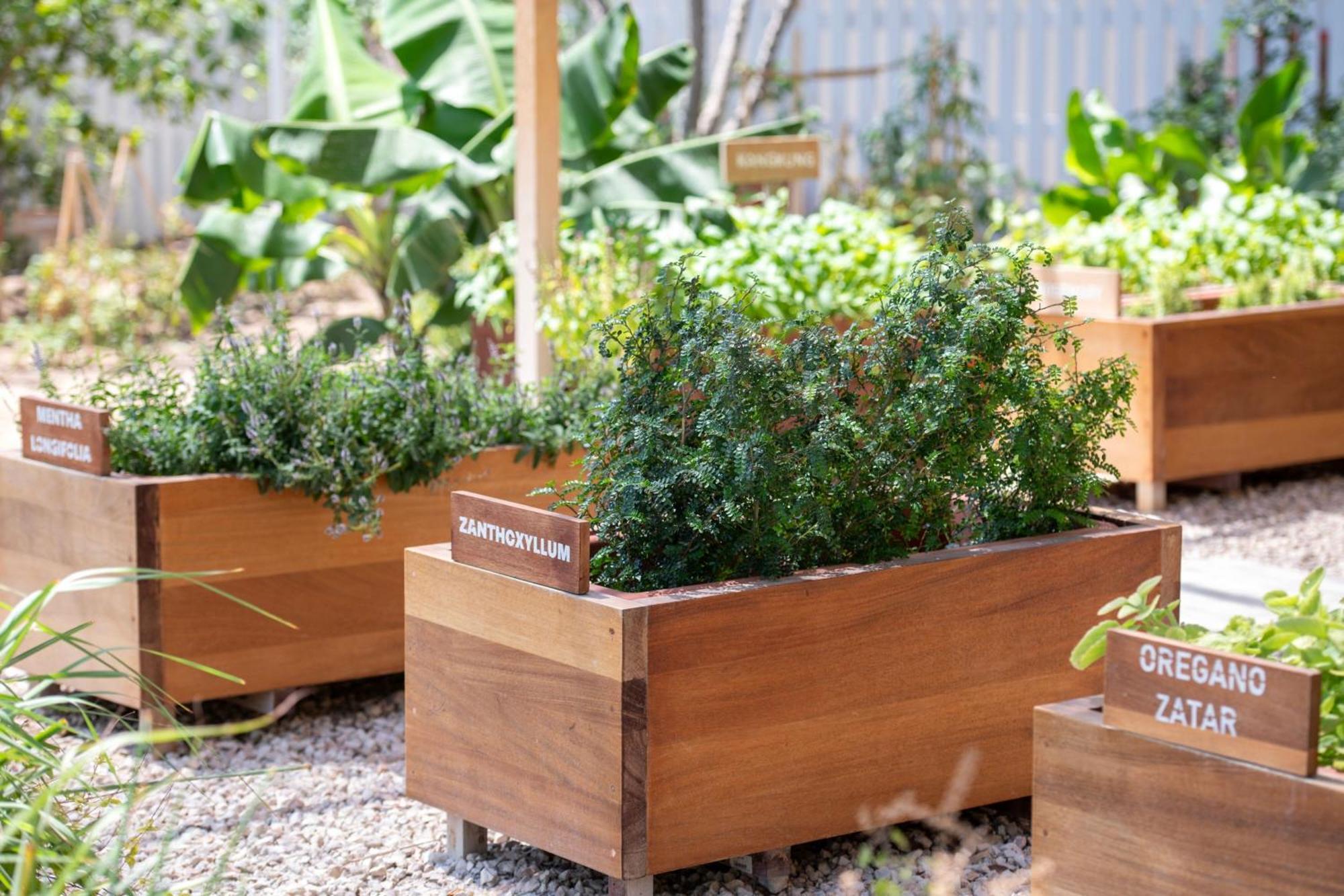 The Ritz-Carlton, Doha Hotel Exterior photo Raised beds in a garden