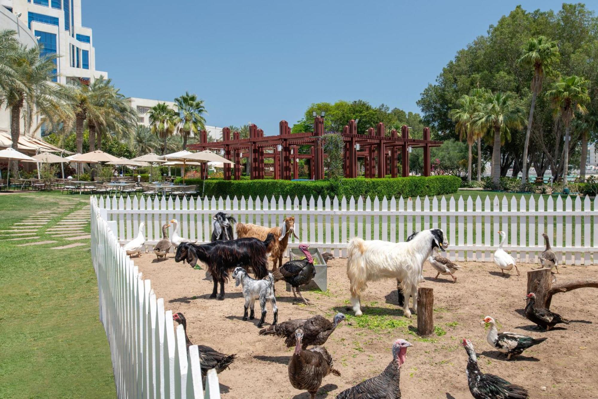 The Ritz-Carlton, Doha Hotel Exterior photo The farm at the resort